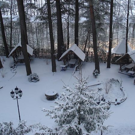 Skazka Hotel Vinnytsia Bagian luar foto