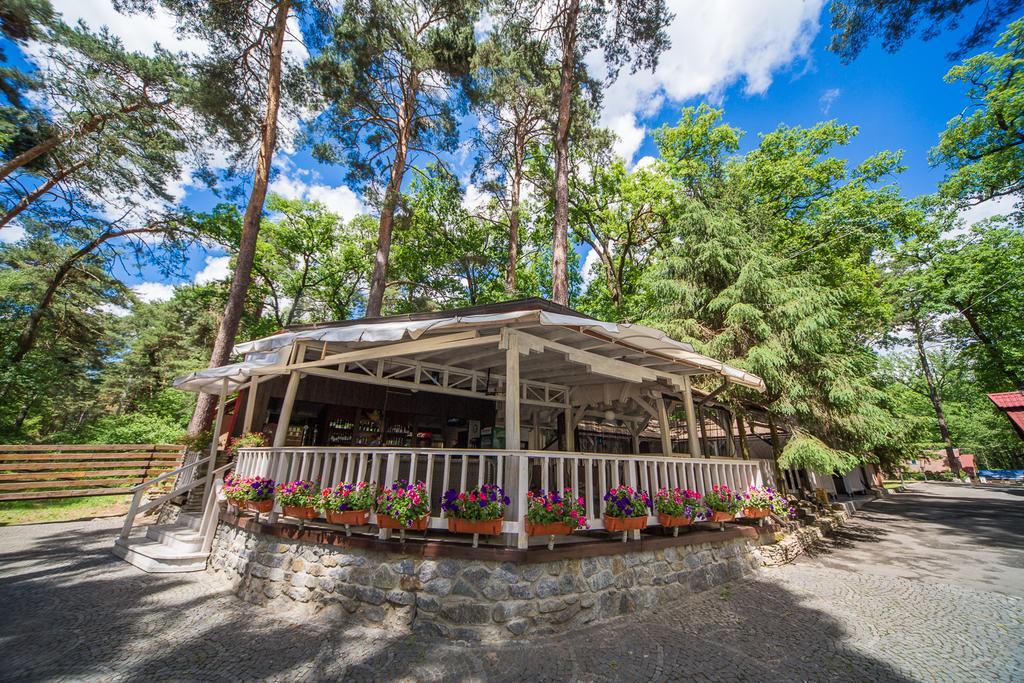 Skazka Hotel Vinnytsia Bagian luar foto